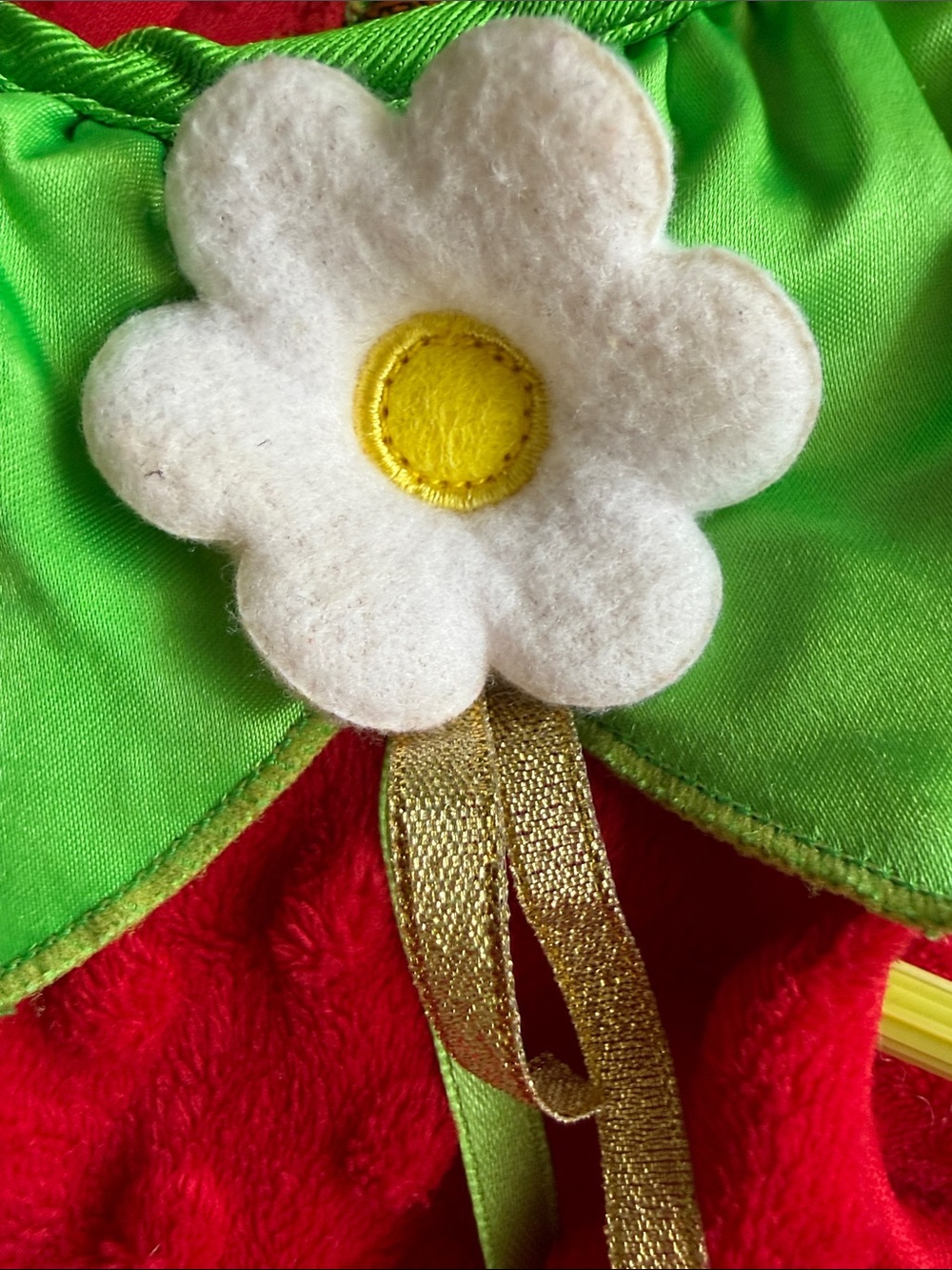 ADORABLE 🌼🍓 STRAWBERRY 🍓🌼 2PC INFANT COSTUME SIZE 3-6 MONTHS 🌟LIKE NEW🌟 - Picture 4 of 13